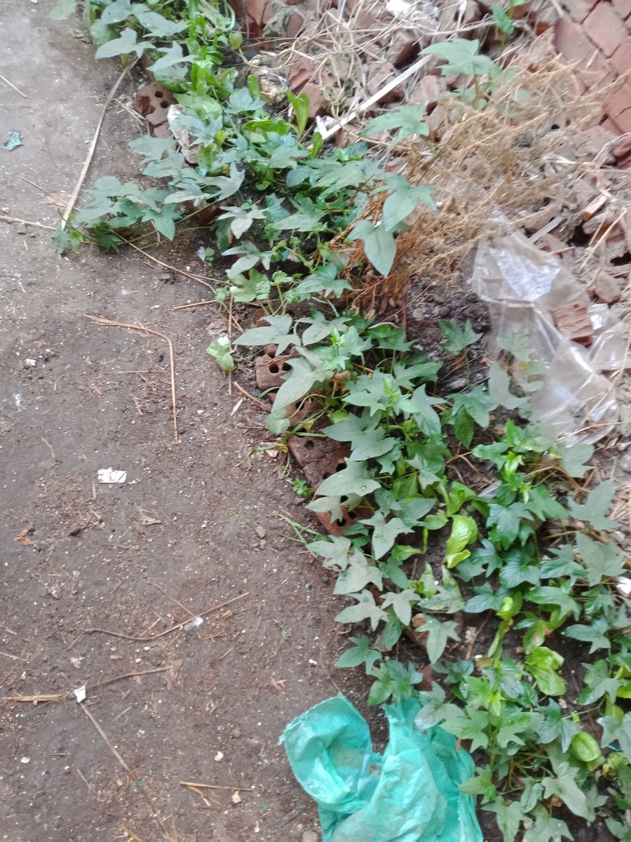 ملتقط بواسطةجماله ياجماعه ياجماه XRecorder: recorder.page.link/Best