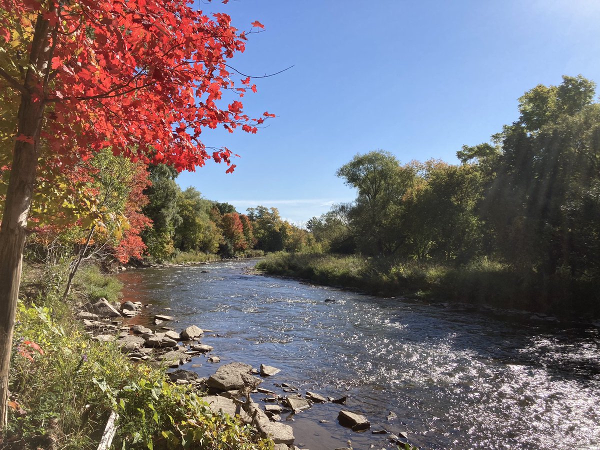 AdrianManickam's tweet photo. Another great day @yourriverwood with the grade 11 IB students. #ESSgroup4 https://t.co/Y3Gn9mF7oG