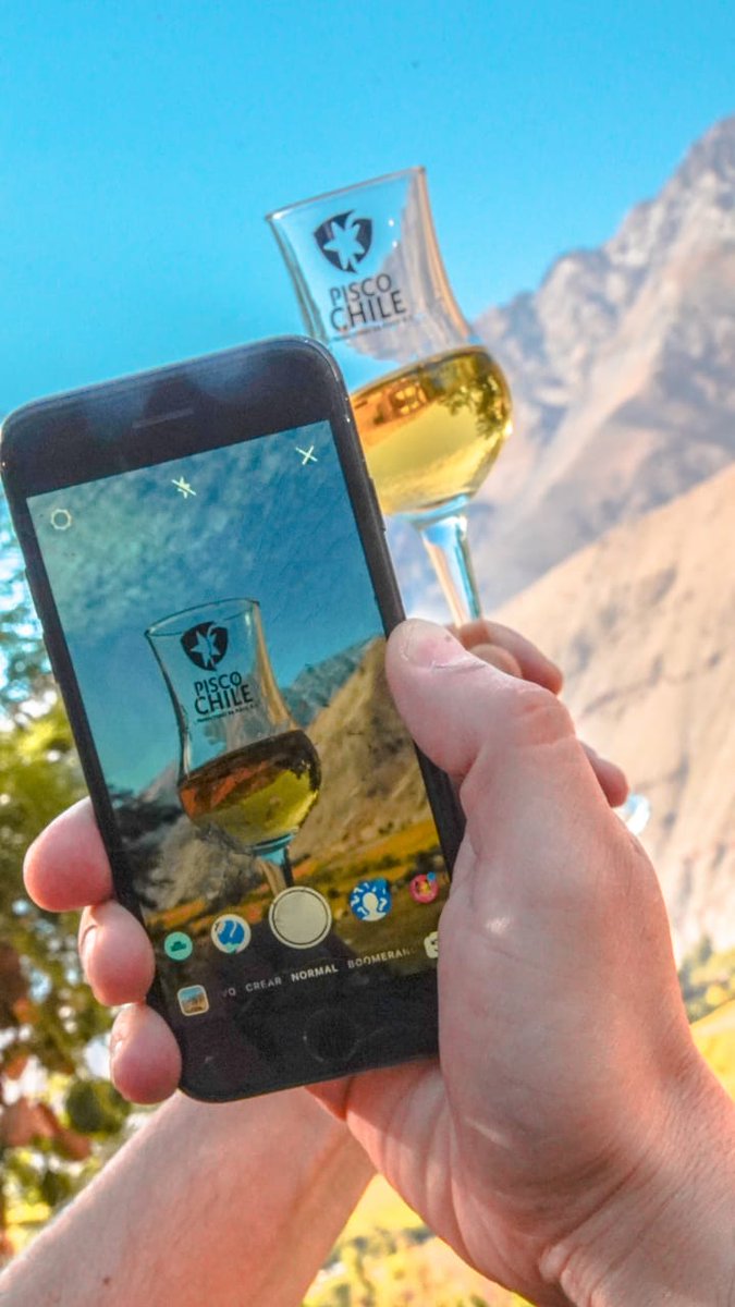 Los dos primeros convenios internacionales suscribirá la Asociación de Productores de Pisco Chile A.G. en México y en Francia, para intercambiar experiencias en investigación, desarrollo, buenas prácticas, y protección de la Denominación de Origen. Ver en bit.ly/3Ryd0uB