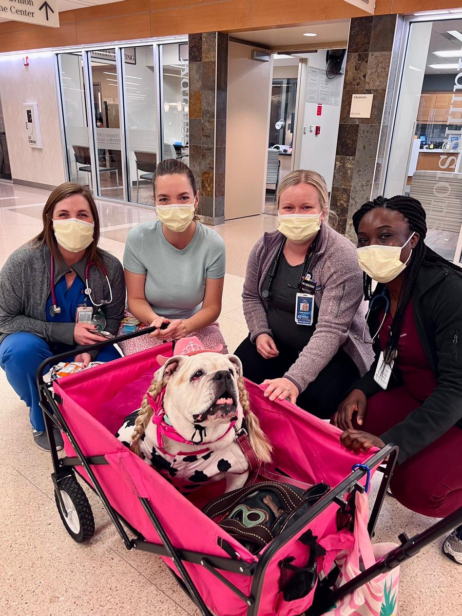 kufammed's tweet photo. Meet Betty White! She provides love, comfort, and smiles to patients around KU and to our Family med team! https://t.co/eGgLrc5OCg