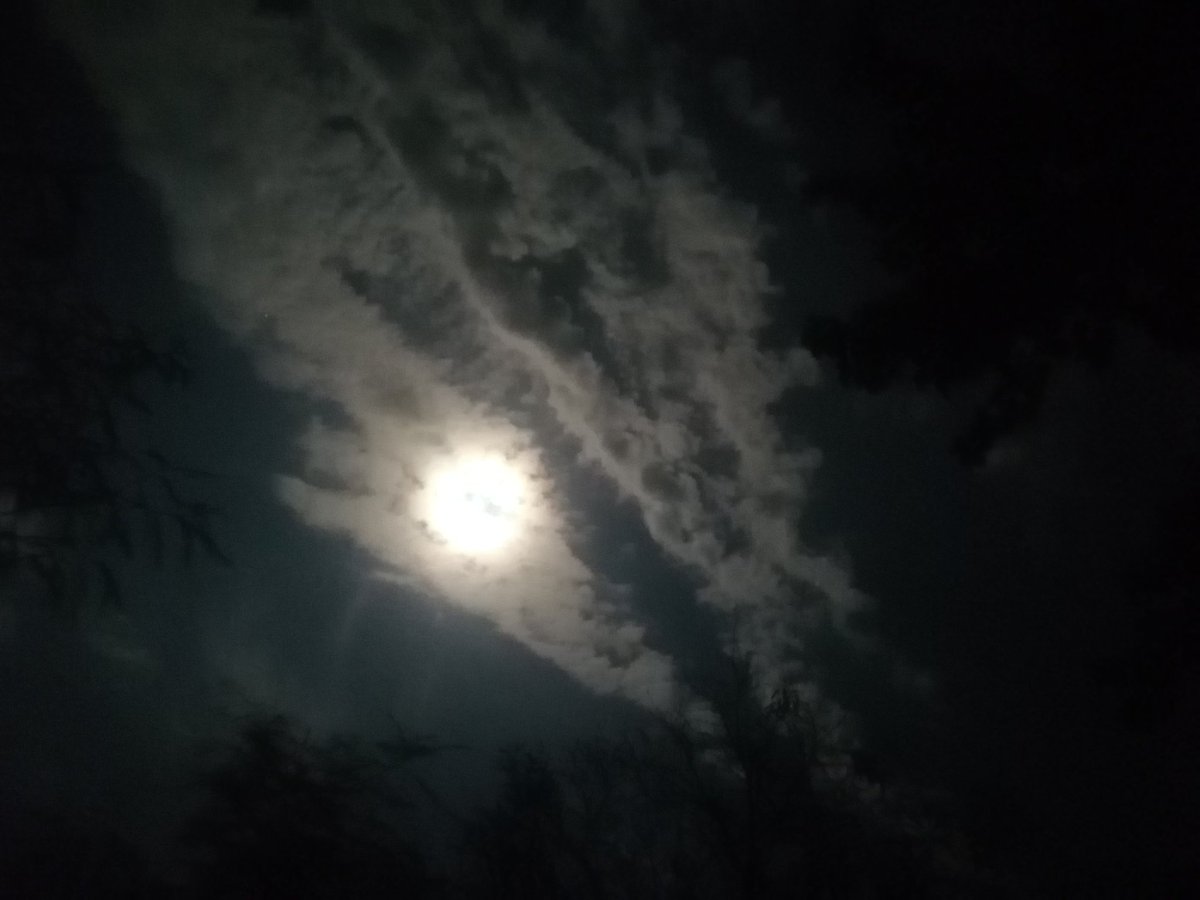 AGONIX MX tweet media