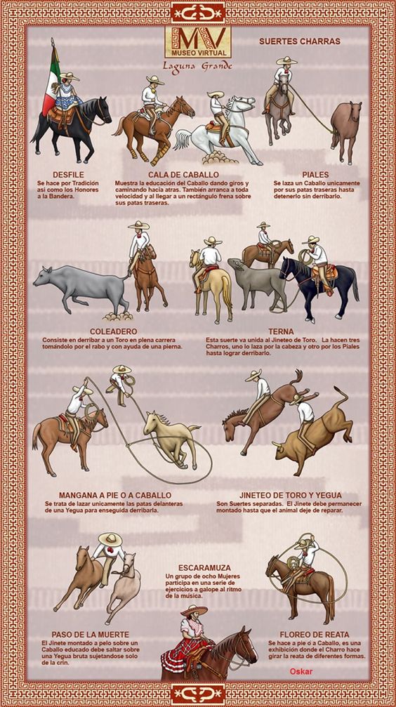 GanaderiayAgro's tweet photo. Charrería, Patrimonio cultural inmaterial de la humanidad…y orgullo de México.
#vistedetradiciones #charreriamexicana #charro #charreria #escaramuza #mexicotradicional #tradicionesmexicanas #deportemexicano https://t.co/4qqeq8zTWw
