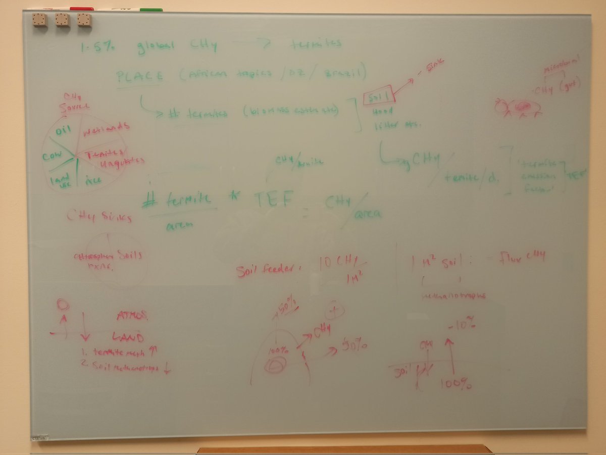 Yuri Souza tweet media