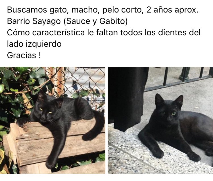 anis_1719's tweet photo. Serían tan amables de compartir?
Gracias https://t.co/H9o6rCk43a