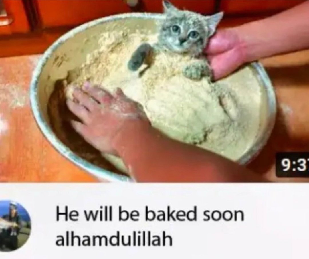 TweetTiddy's tweet photo. He baked as hell https://t.co/G1Q9nTVytI