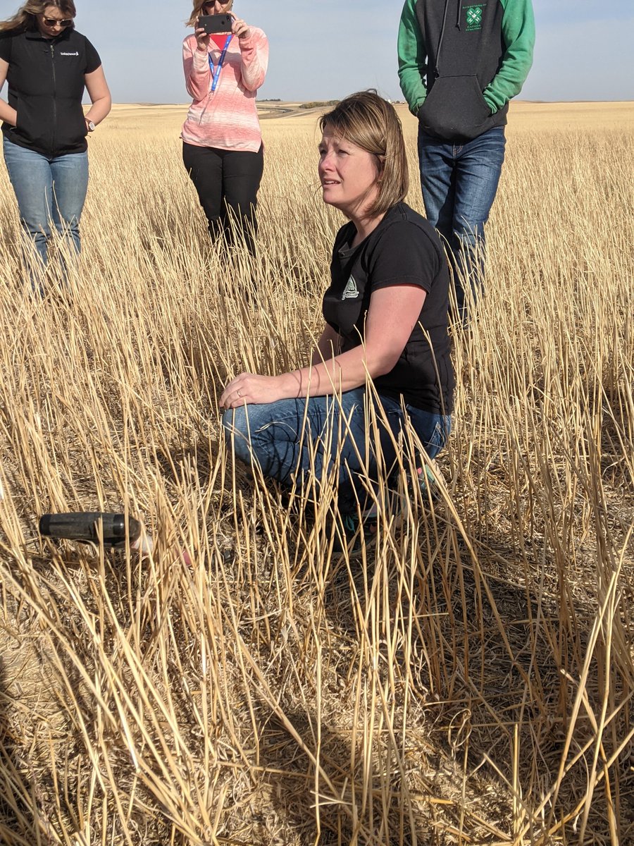 A wonderful in-person #CFWF22 in the books - the first since 2019! Everyone learned lots about the ag scene in Regina, SK. Great learning with even better people! Too many to tag! <a href="/A_Finnamore/">Allison Finnamore</a> <a href="/teresadfalk/">Teresa Zimmer</a> <a href="/Tipper15/">Karli Reimer</a> <a href="/MyrnaLLeader/">Myrna Leader</a> <a href="/GeralynWichers/">Geralyn Wichers</a> <a href="/bex_zim/">Becky Zimmer</a> <a href="/JessikaGuse/">Jessika Guse</a> @LorneMc