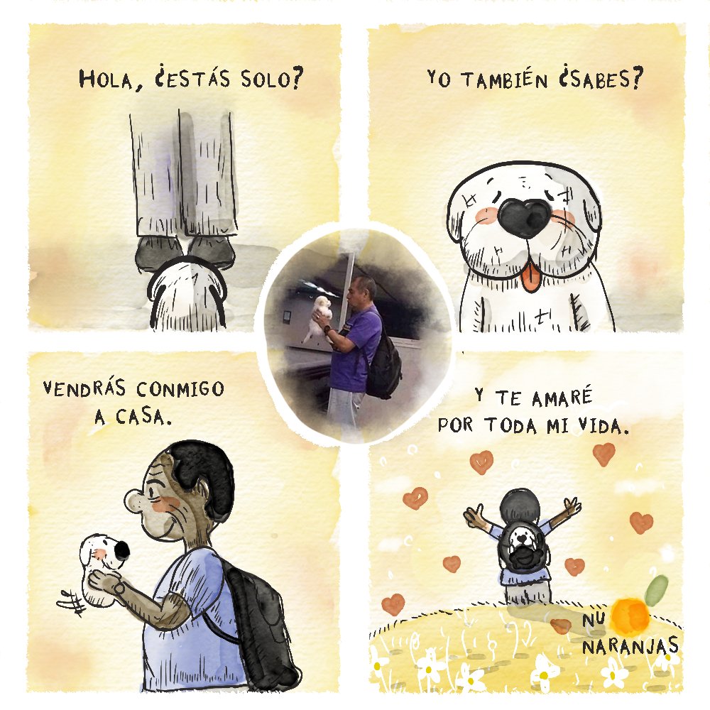 🍊#FotoHistoria  El perrito suertudo
- He vuelto, mil disculpas por haberme ausentado, han sido días difíciles, pero ahora a dibujar con mucho amor para todos ustedes, porfavor apoya mis dibujos compartiendo o reaccionando, te lo agradeceré muchísimo. - 

#dibujos  #webcomics