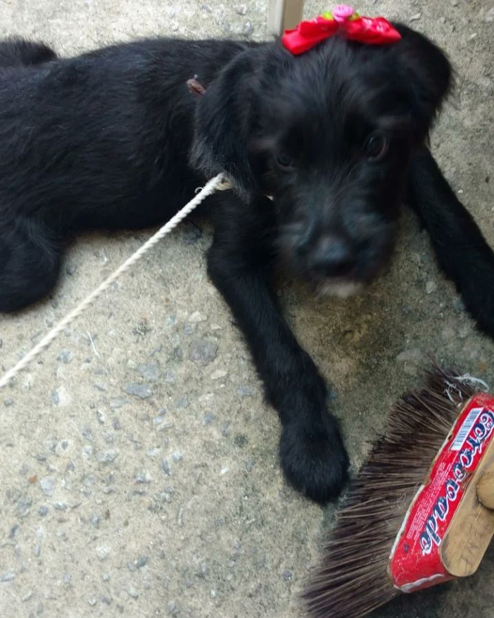 decano lawrence FATHER FIGURE tweet media