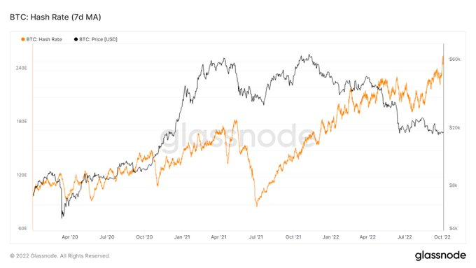Rollbit on Twitter: 