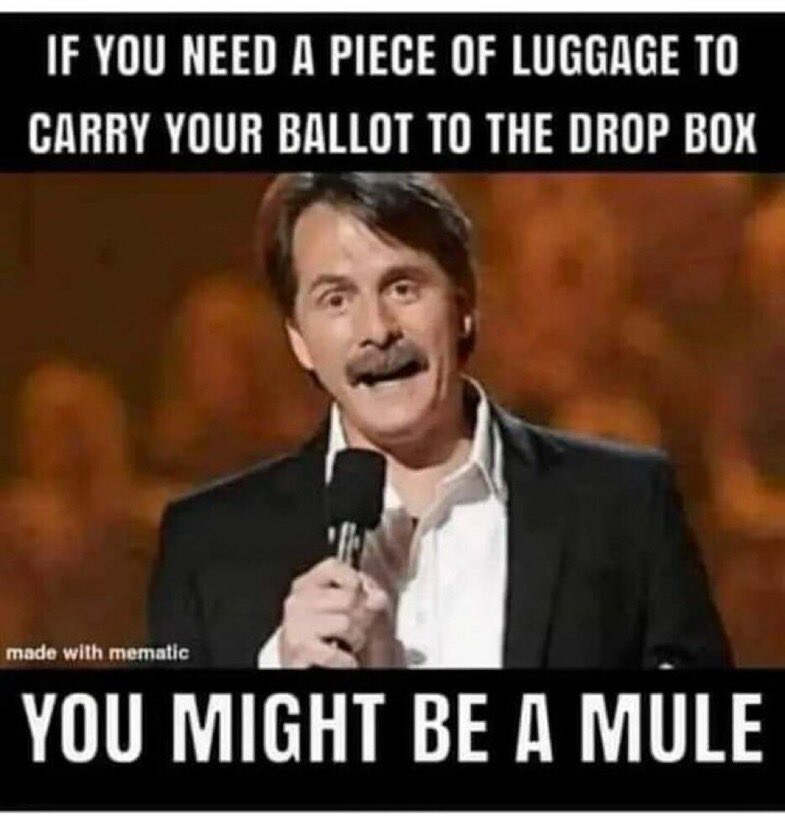 Sure there were 81 million BALLOTS for Biden but it doesn’t follow that 81 million eligible VOTERS chose this malevolent bumbler. If you’re wondering how there can be a significant mismatch between ballots counted and eligible voters, watch #2000Mules