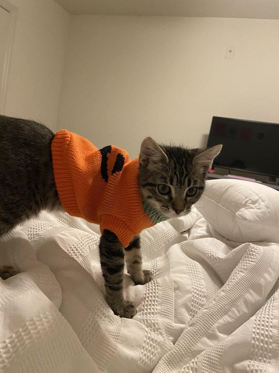 spooky szn with hayden 👻🎃