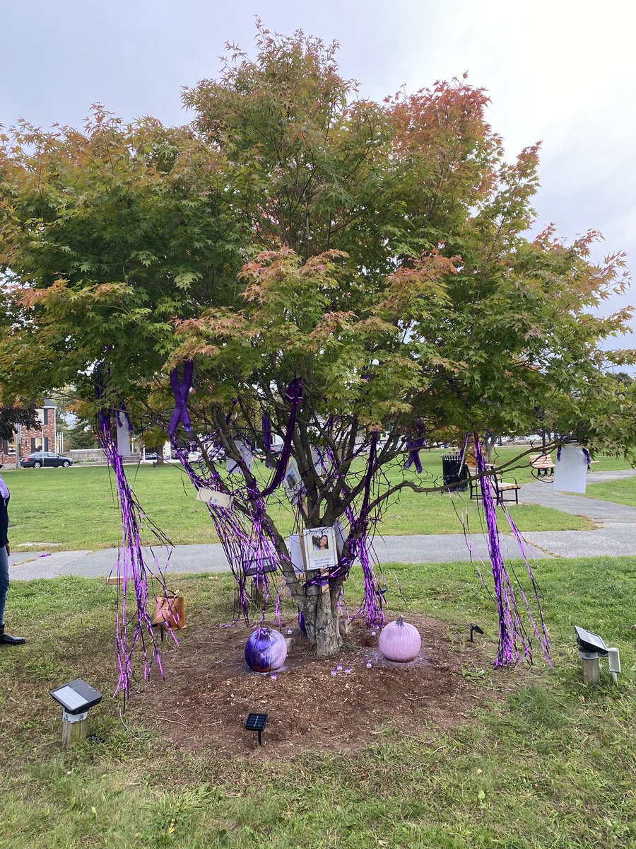 October is Domestic Violence Awareness month. Members of BPD joined Saheli on the Town Common for the Purple Tree Lighting. An event to honor survivors and remember victims of domestic violence. <a href="/bpdclinician/">Burlington PD Mental Health</a>