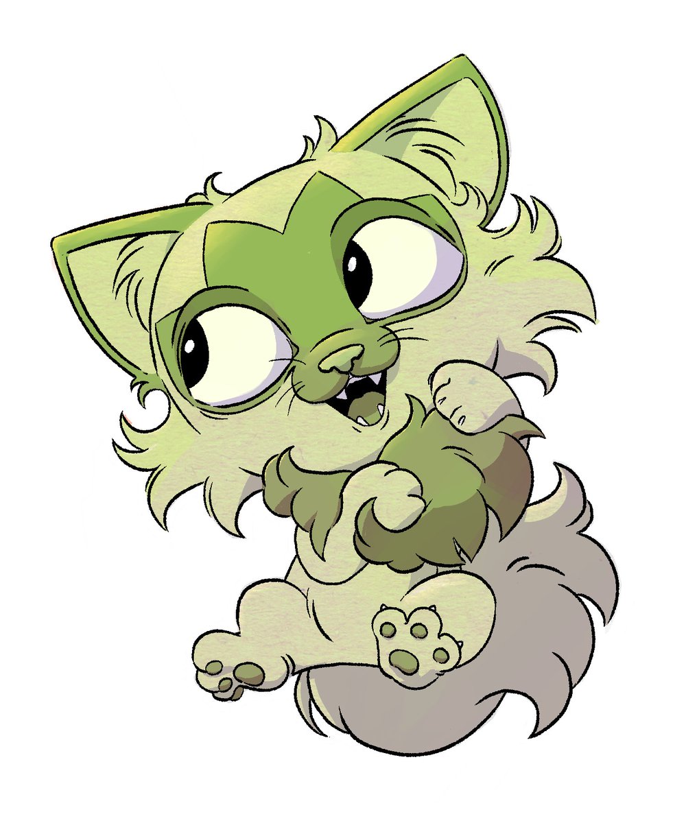 Rachel Colucci tweet media