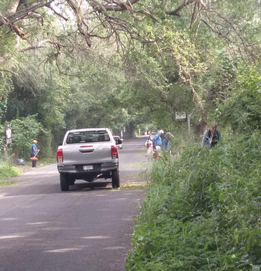 Diario_deColima's tweet photo. A través de su red social, @villadealvarez informó que personal del área de parques y jardines realiza la #poda de árboles, en el límite del acotamiento de la carretera rumbo a #ElChivato, así como el #desmonte de estas áreas “para mayor visibilidad de los conductores”.
@TeyGtz https://t.co/ac5gJlo4TL