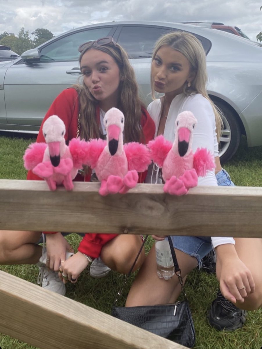 hotgalsx's tweet photo. Bring Mia (right) back? https://t.co/sUFBm2BBnM