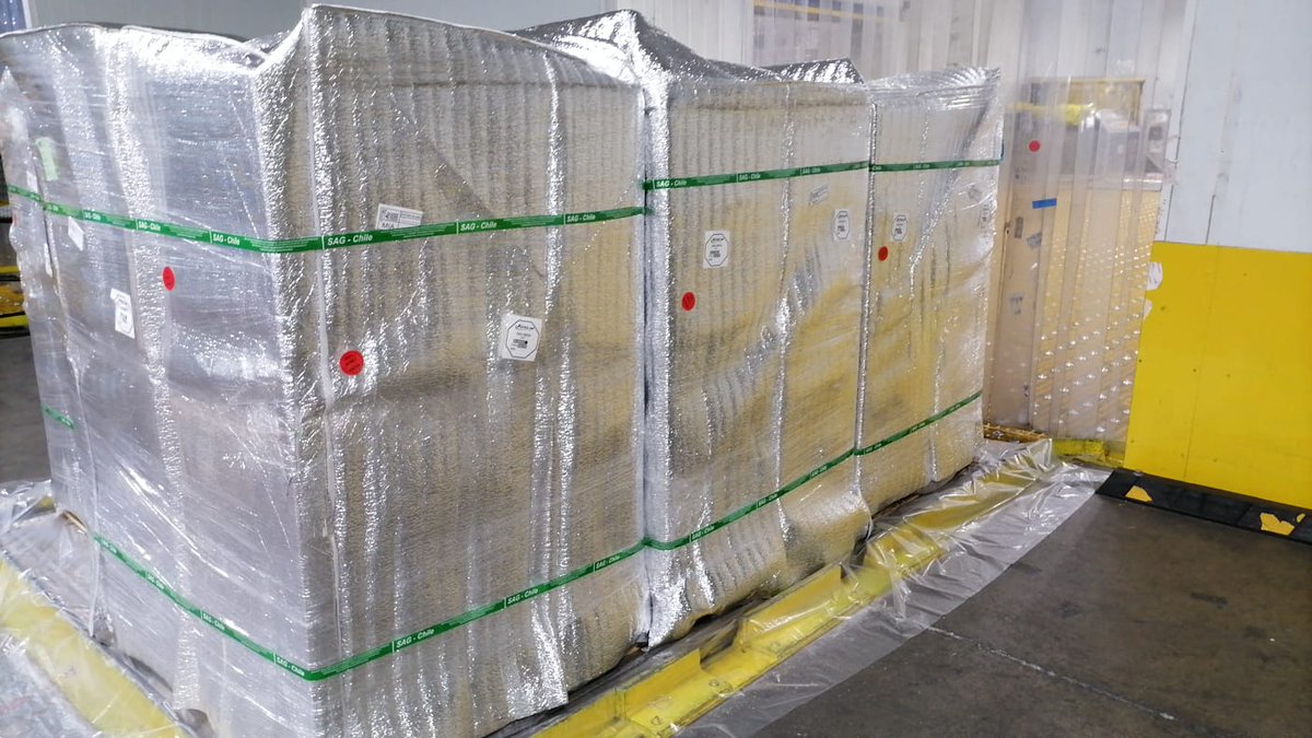 Controlc_chile's tweet image. Trabajando en nuestra temporada 2022-2023 exportando arándanos frescos, nos preocupamos que la logística de estos embarques sea de manera perfecta, manteniendo la cadena de frio hasta puerto de destino #fruta #arandano #exportacion #asia #usa #logistica #temporada