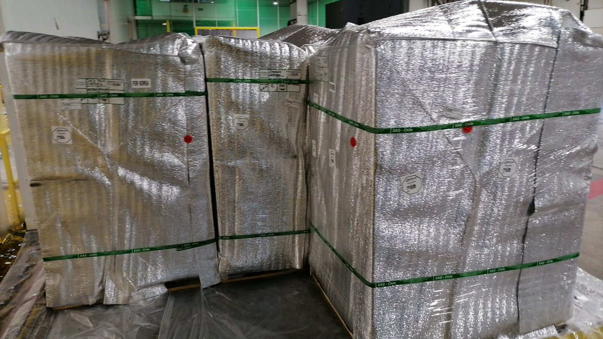 Controlc_chile's tweet image. Trabajando en nuestra temporada 2022-2023 exportando arándanos frescos, nos preocupamos que la logística de estos embarques sea de manera perfecta, manteniendo la cadena de frio hasta puerto de destino #fruta #arandano #exportacion #asia #usa #logistica #temporada