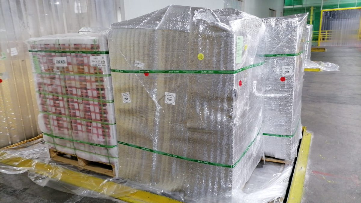 Controlc_chile's tweet image. Trabajando en nuestra temporada 2022-2023 exportando arándanos frescos, nos preocupamos que la logística de estos embarques sea de manera perfecta, manteniendo la cadena de frio hasta puerto de destino #fruta #arandano #exportacion #asia #usa #logistica #temporada