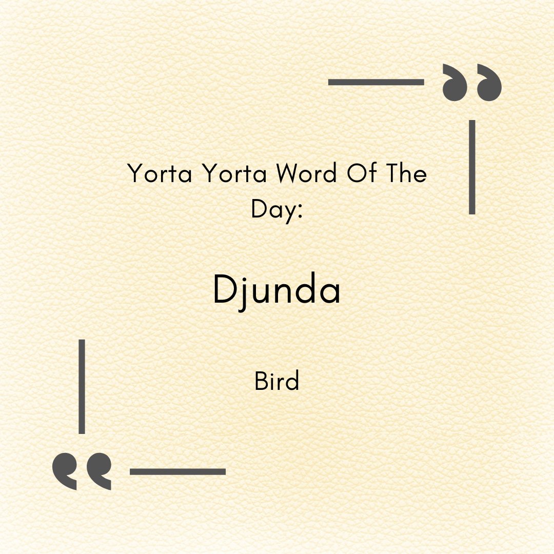 Dreamtimeart's tweet photo. "The traditional Yorta Yorta lands lie on both sides of the Murray River roughly from Cohuna to Albury/Wodonga. They include towns such as Echuca, Shepparton, Benalla, Corowa and Wangaratta and extend northwards to south of Deniliquin."
Source:
https://t.co/FEWpAz69FE https://t.co/OajAmuTKSP