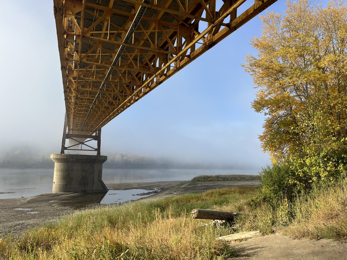 🅰️Lℹ️S🅰️ tweet media