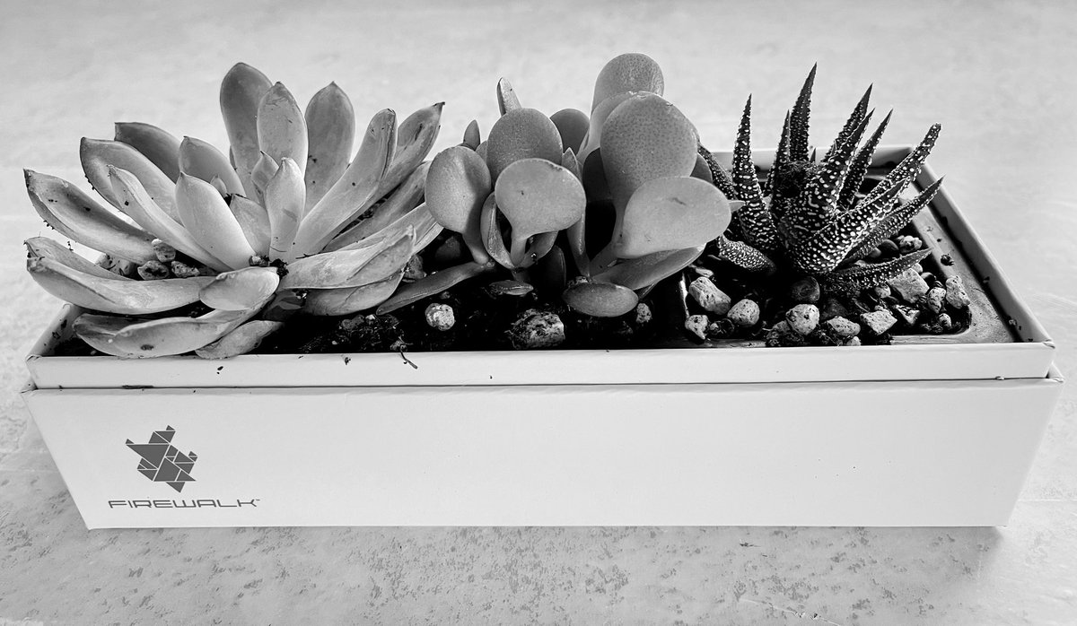 Dave Thach tweet media