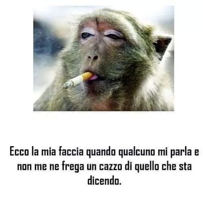 IngridRayser's tweet photo. @WineRoland @il_Maggiore @marisaguarracin https://t.co/GdJYVdyLoT