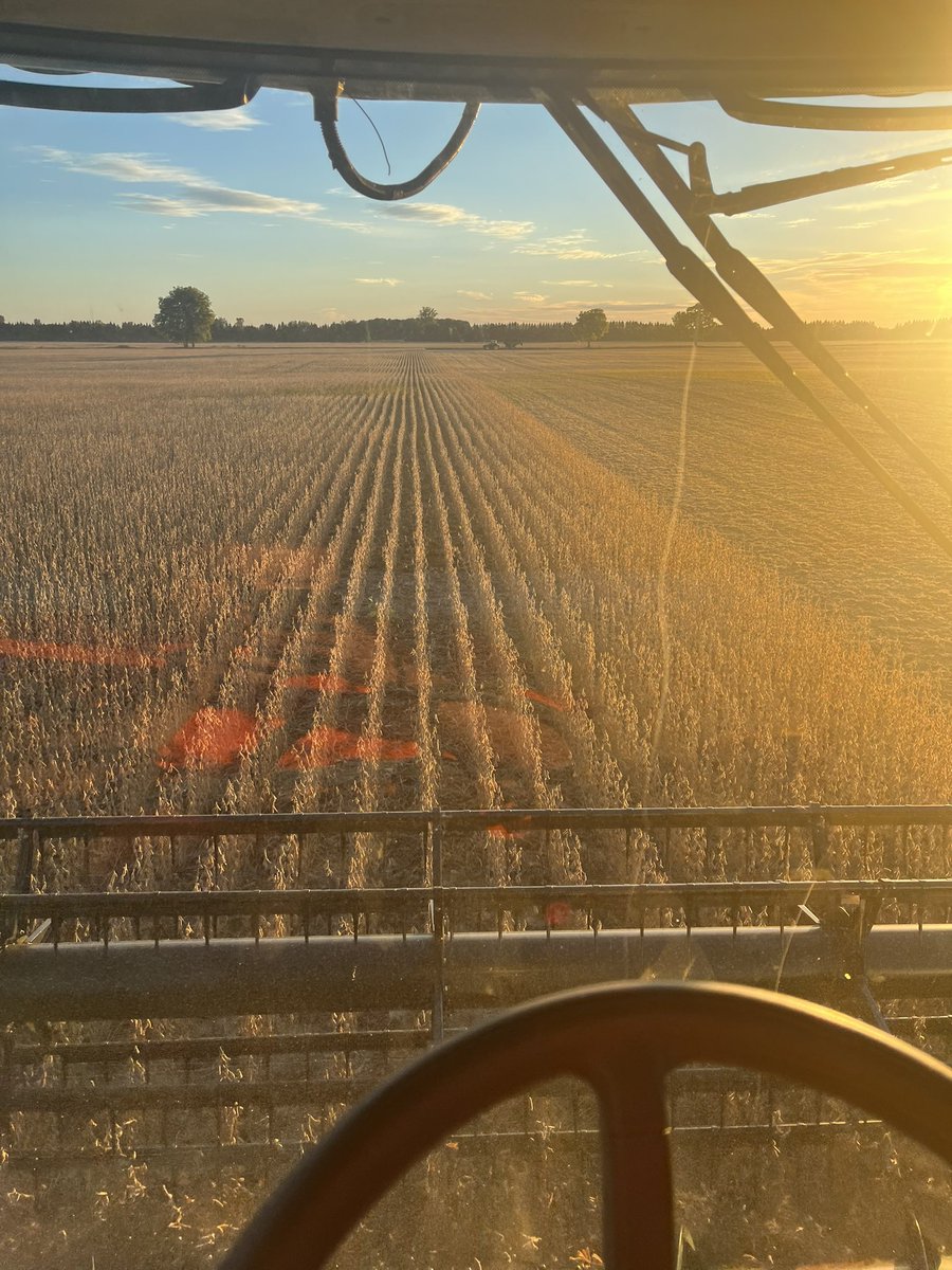 Dan_Libbrecht's tweet photo. My favourite time of year has finally started, #harvest22 is a go #ontag https://t.co/BqrRX7SJ8h