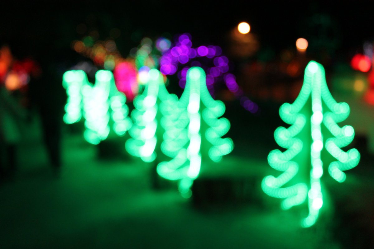 Daily Picture Theme tweet media