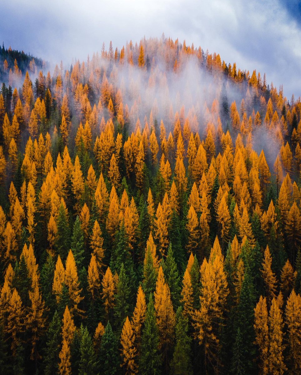 Fall in Southwest Montana 🍂