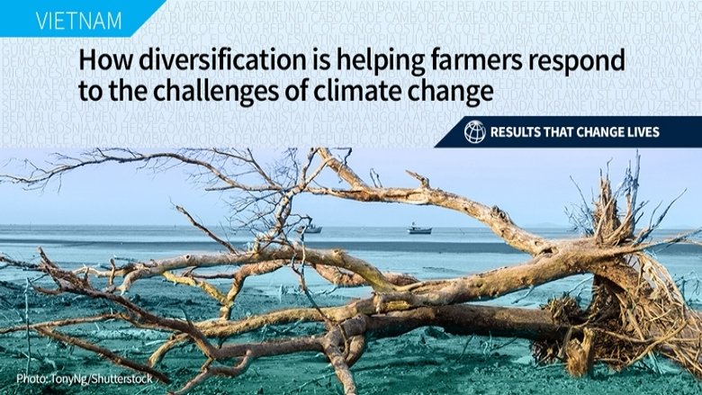 WorldBankWater's tweet photo. Vietnamese farmers in the Mekong Delta face worsening impact of #ClimateChange:
☑️Extreme floods &amp; droughts
☑️Saline intrusion
☑️Land subsidence

Learn how they are finding sustainable ways to adapt: https://t.co/VSV0KJFGzl
 
#ClimateActionWBG #ClimateIsWater https://t.co/ZmYalZNNql