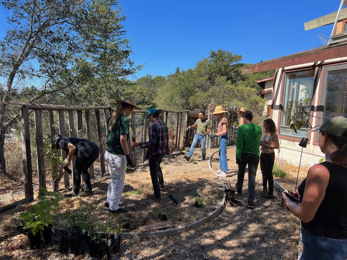 At our NHS Open House last Friday, our wonderful students helped us get 50 native plants (donated by Friends of Sausal Creek!) in the ground at the Environmental Center at Merritt College. Looking forward to seeing our native garden grow!