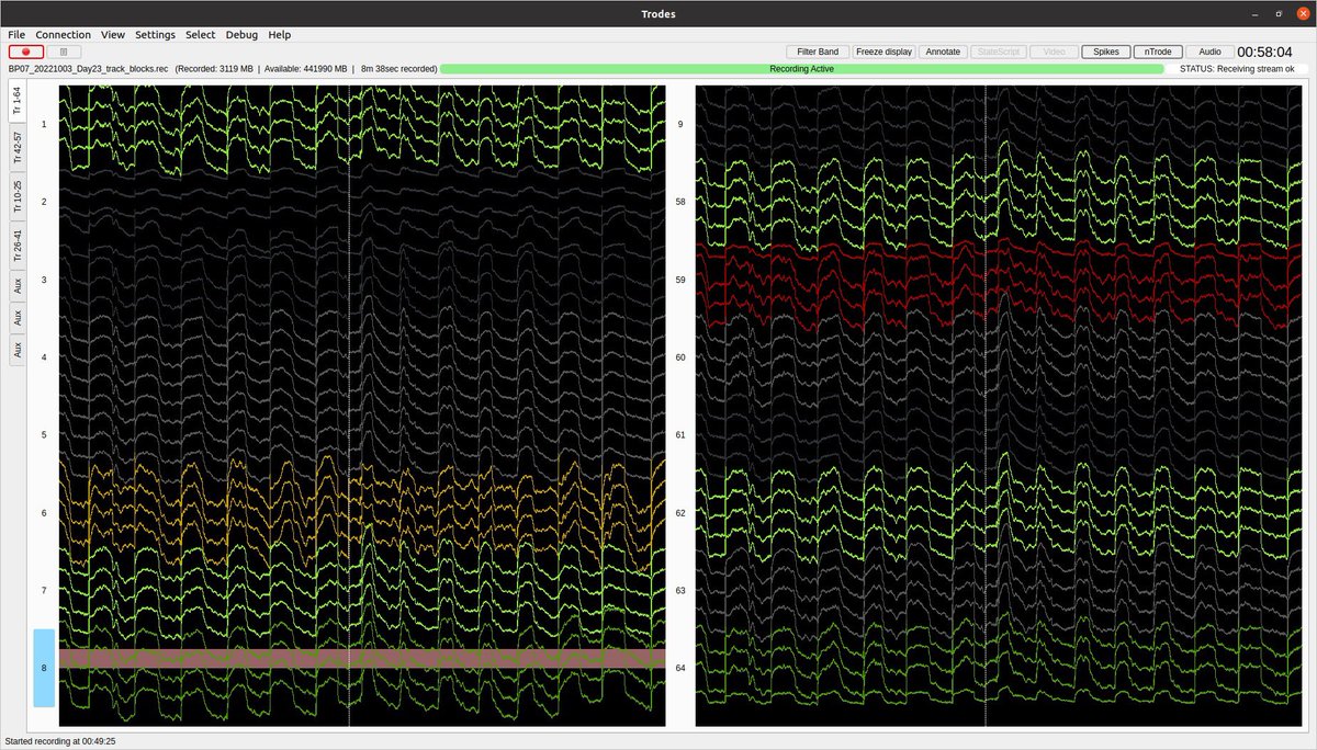 BlakeP_Neuro's tweet image. What in the noise is this?? On some trials, not all, when my rat licks at the reward port i get these huge amp waves coincident with the licks, likely for the duration that his tongue is in contact with the milk. Some sort of ground / capacitance issue? Thoughts #ephystwitter ?
