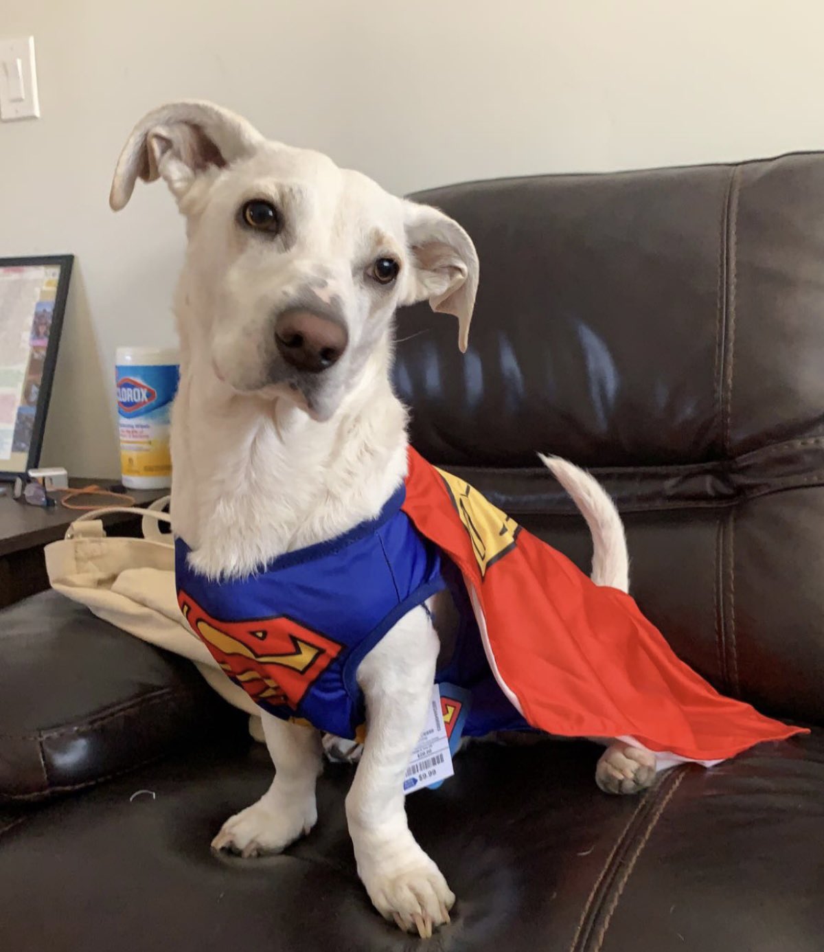 Anna on Twitter "Happy National bf day to my supamen ️ https//t.co