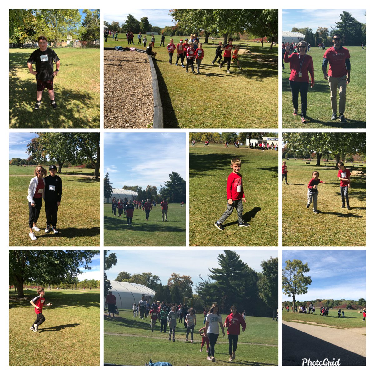 StDavidWildcats tweet media