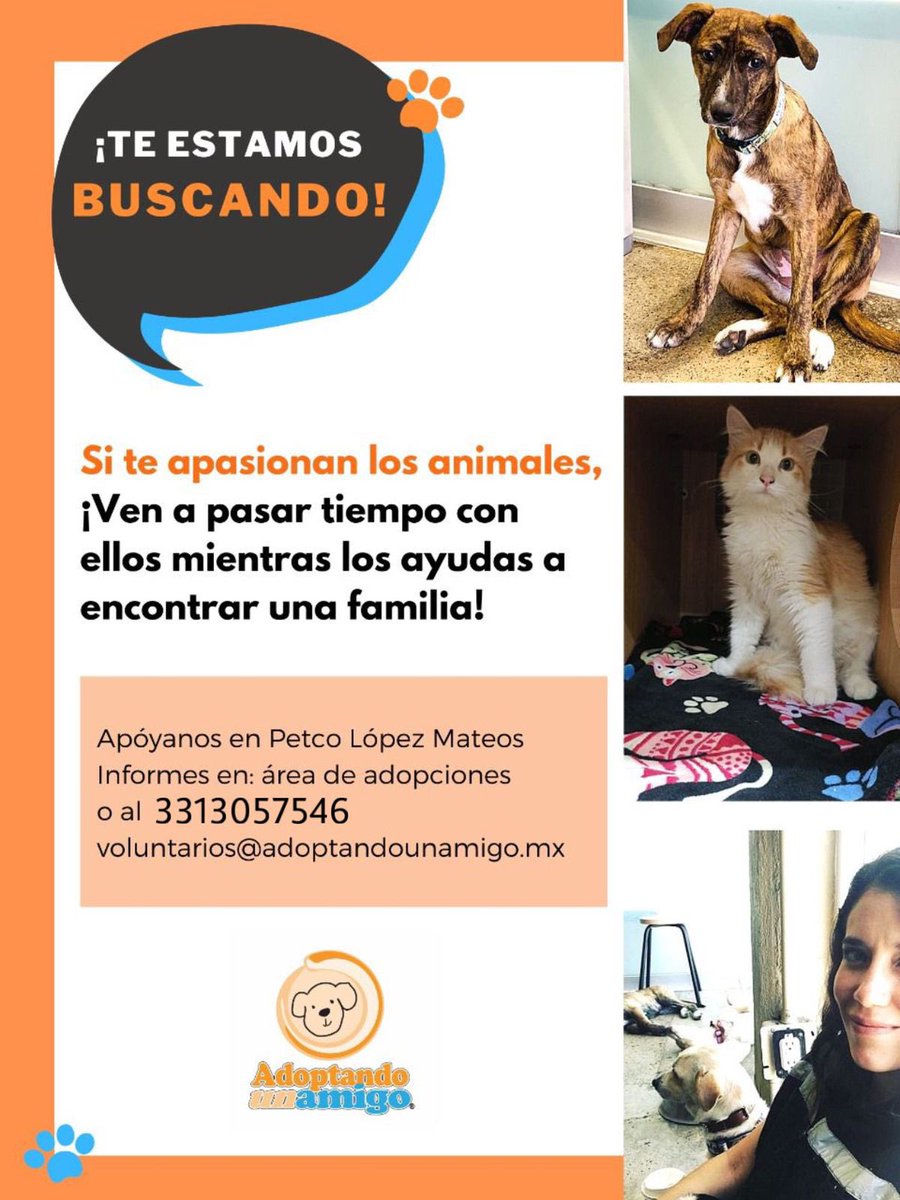 Adoptando un amigo tweet media