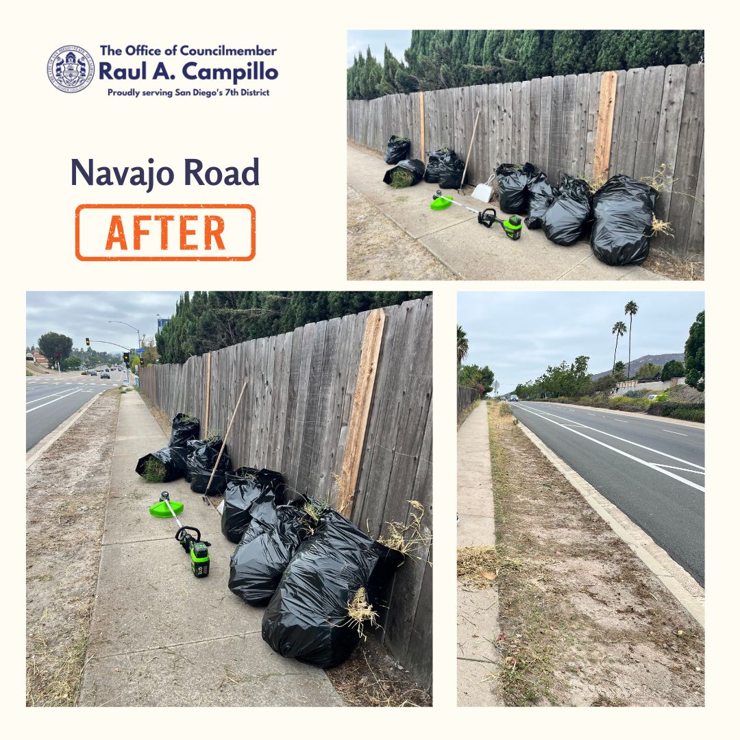 This past weekend, I took matters into my own hands along Navajo Road. Check out the before, during, and after. What a difference!