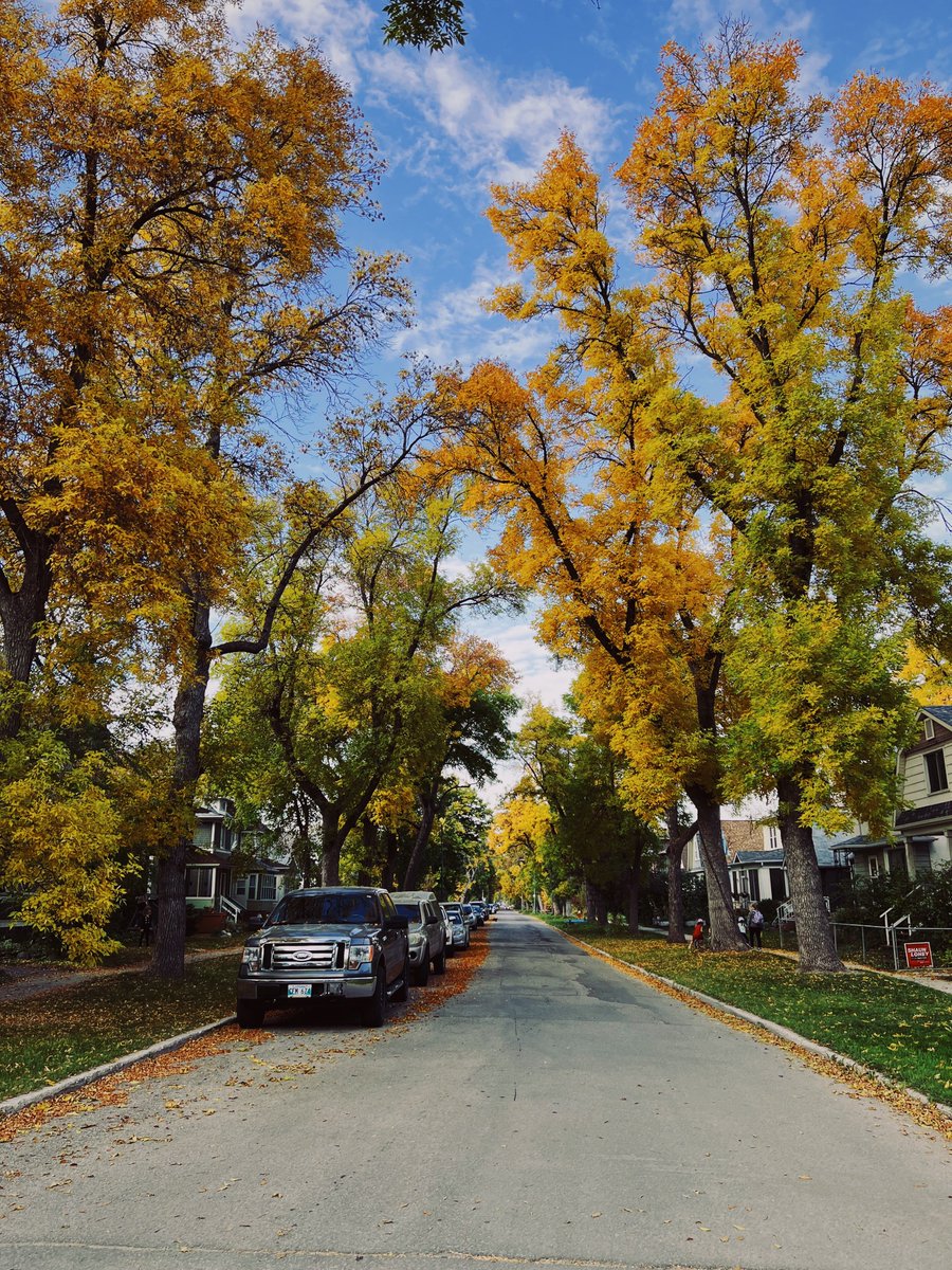 michaeljpblatz's tweet photo. fall in winnipeg 

#winnipeg #fall #autumn https://t.co/r1nHy4aUOL