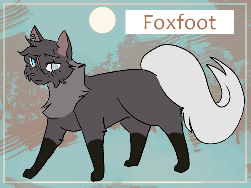 Now that she's shown up, meet Foxfoot! Sweet and sympathetic she-cat, soon to be a mother! She hates sitting down and doing nothing, choosing to help out wherever she can.