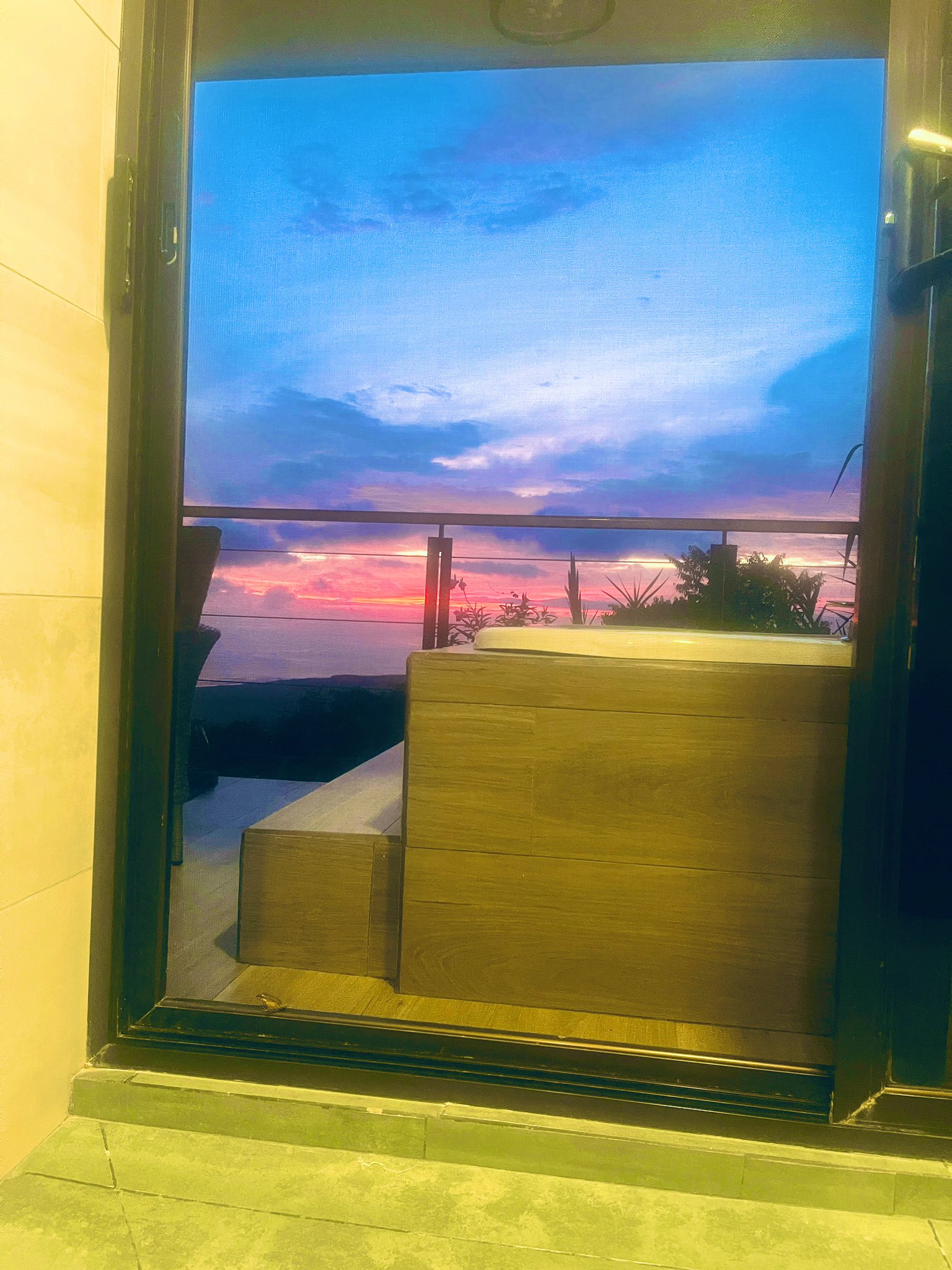 Natasha Nice 🇫🇷🇨🇺🇺🇸 on Twitter "Admiring the view from the shower 🐸