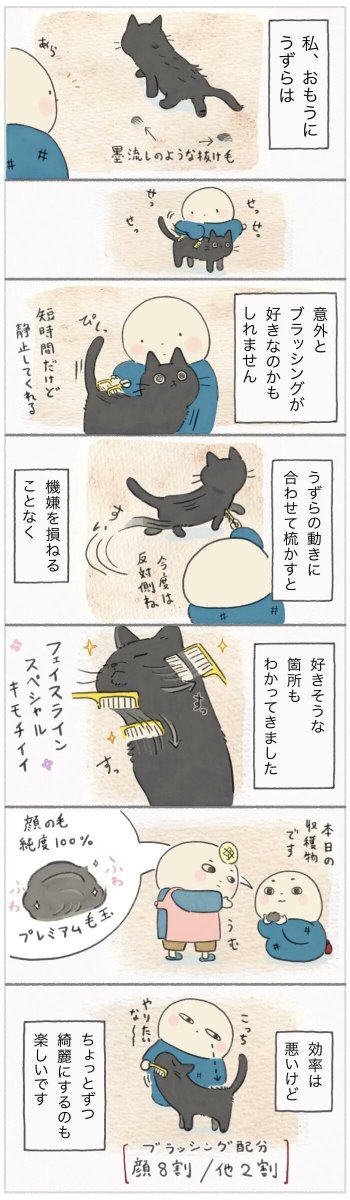 ブラッシング技術を磨いた結果、ついに飼い主の技術が合格点に到達!【連載】ねこ連れ草 246話め|ねこのきもちWEB MAGAZINE https://t.co/IsF7fi3GgA