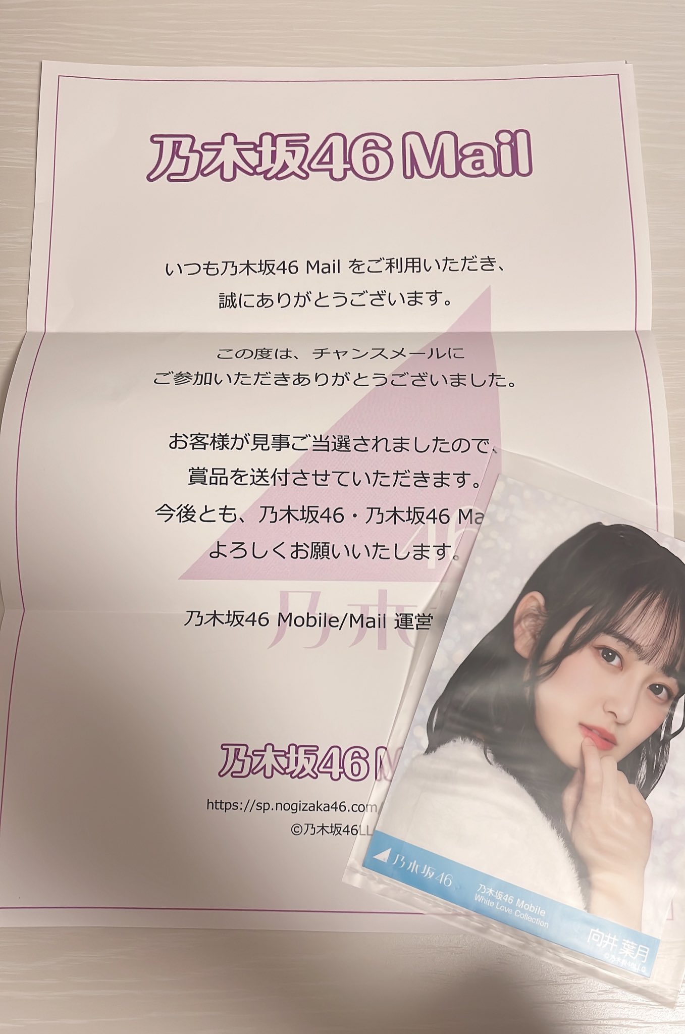 プチギフト (最安値) 乃木坂46 生写真 向井葉月 チャンスメール