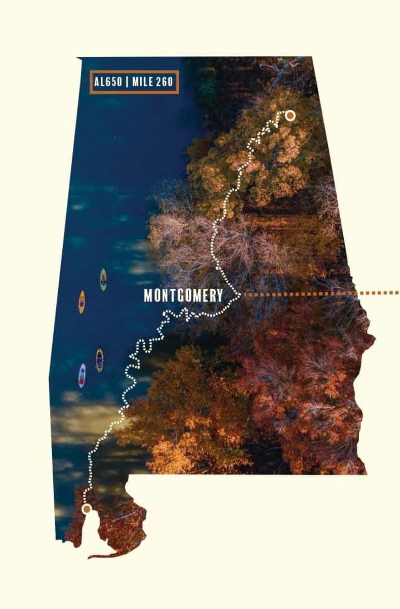 #AL650 #OnTheASRT: The swiftest racers move onto the Alabama River and reach Montgomery on day three.  Racers will see more alligators and fewer people on the course from this point forward.