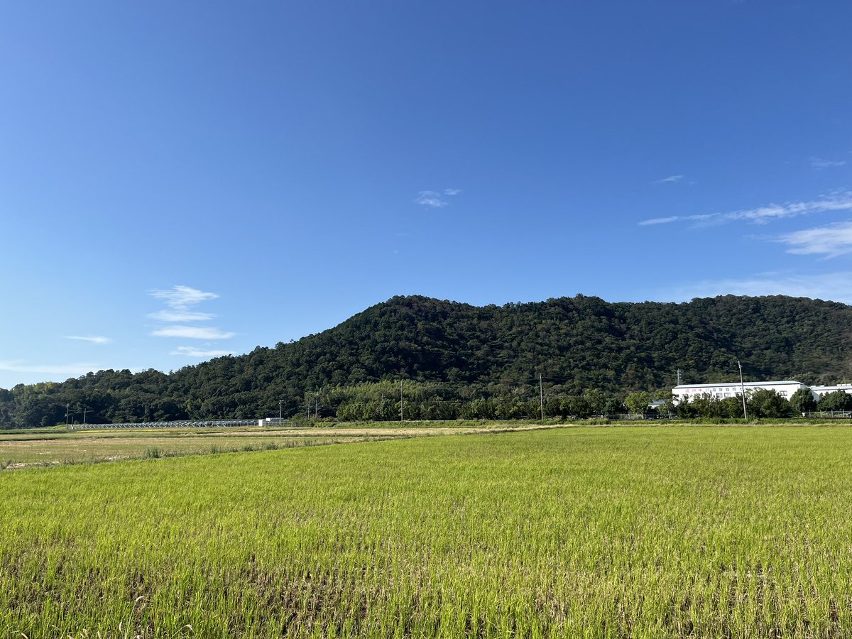 MAX_P___'s tweet photo. おはようございます！

10月4日（火）近江八幡の天気は晴れ☀️

10月に入って少し肌寒くなったと思ったら暑くなる時もありまだまだ気温差がある
ので、わんちゃんねこちゃん飼い主さんも
体調管理には気をつけていきましょう🫡

#企業公式が毎朝地元の天気を言い合う 
#犬のいる暮らし #猫のいる暮らし https://t.co/hjt3LvMW4O