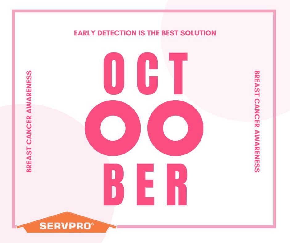 Did you know October is breast cancer awareness month? Have you checked yourself already? Early detection saves lives.

#breastcancer #october #awareness #cancerawareness #cancer
