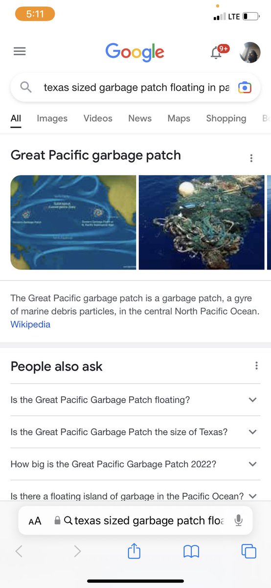 Fugly Ducks (@tom_tom429) on Twitter photo 