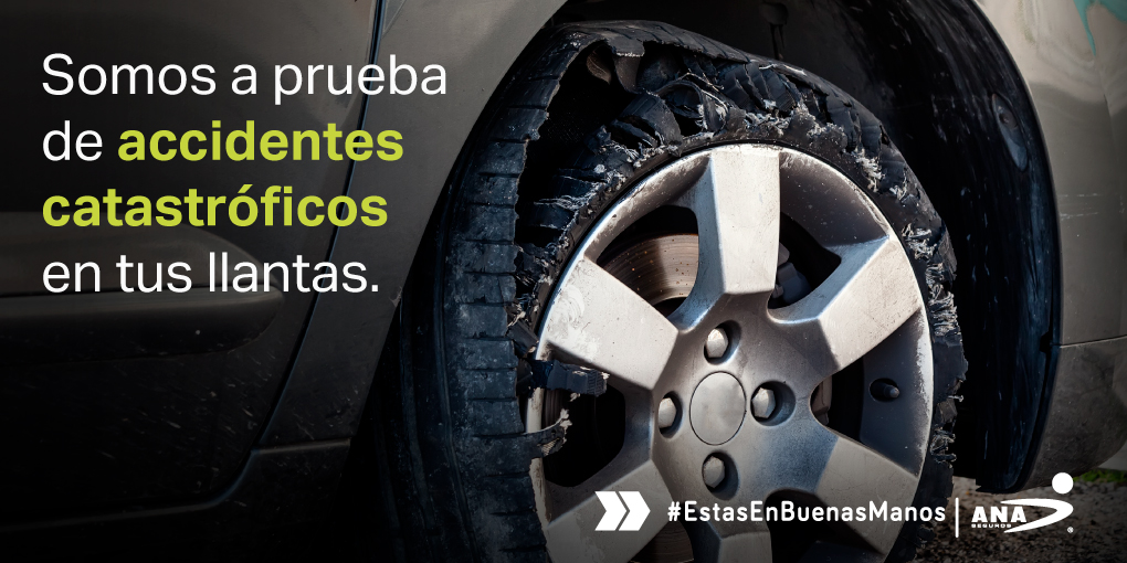 ANASeguros's tweet photo. ¡Nuestra protección #SEGULLANTAS siempre te acompaña en tus viajes!

👉 Pregunta a tu #AgenteANA sobre todos sus beneficios. https://t.co/YDYAClrXhE