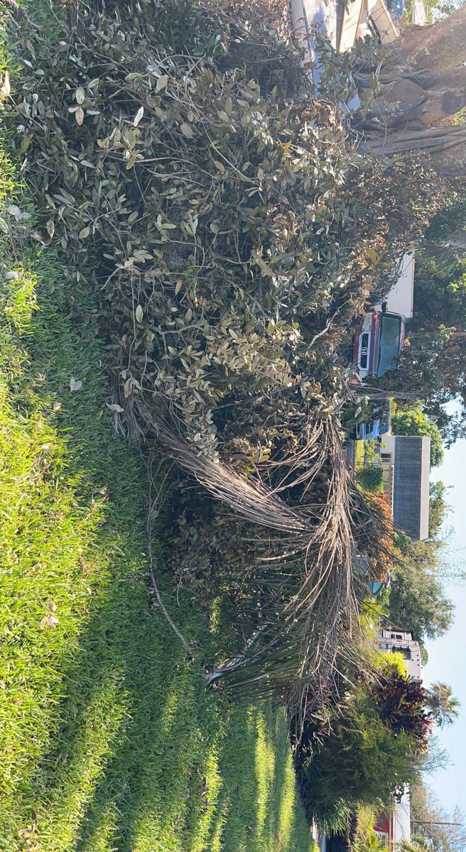 Out with the #Bullsharkfam today helping with the recovery of #HurricaneIan. Great day with my brothers helping the community. <a href="/JosiahSessler/">Josiah Sessler</a> <a href="/CoachD_SpreadO/">Rich Dombroski</a> @BullSharksFB <a href="/mcguirefbcoach/">Thomas McGuire</a>