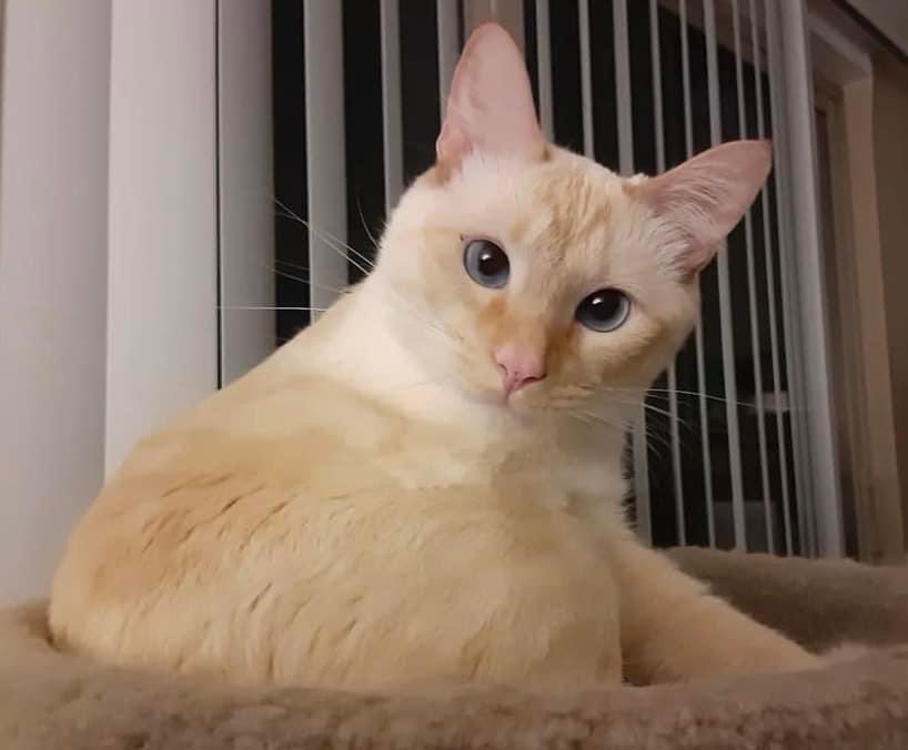 DoseOfCatto's tweet photo. People you        Fri request :
may know: https://t.co/3N1P8yCrhy