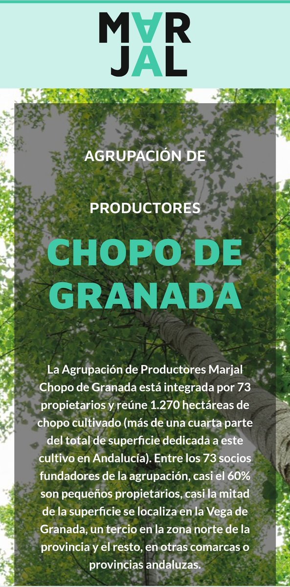 AfaProfor's tweet photo. 📢ATENCIÓN! SUBASTA🪵

#MARJAL, Agrupación de Productores de #Chopo de Granada, anuncia su primera subasta de madera 2022

Toda la información en:👇
https://t.co/B4Lt9VucRe

🌳🌳🌳🌳🌳🌳🌳
#WoodForFuture https://t.co/dpsS5DYsxf