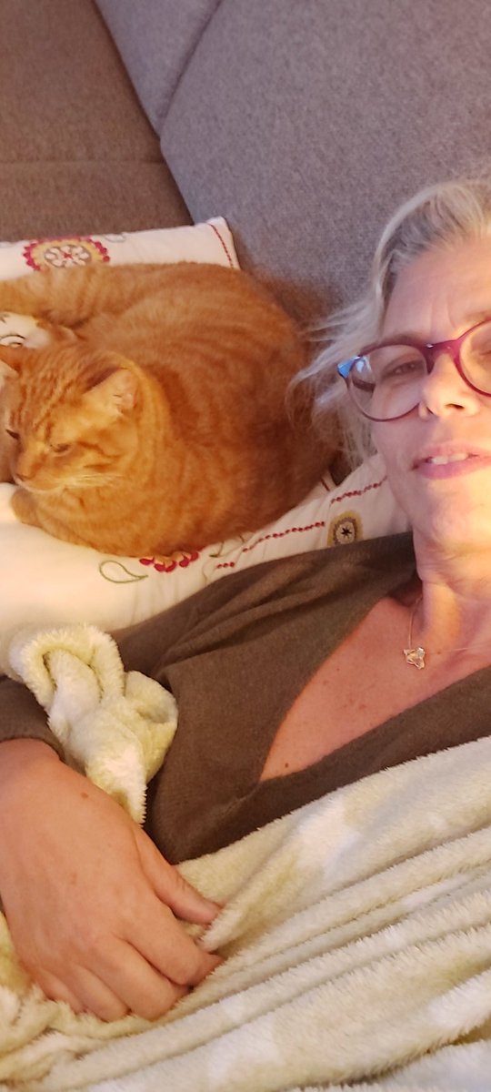 EstherHoogvliet's tweet photo. Goedemorgen lieve twitteraars,
Fijne dierendag allemaal! #Dikkie #mijnbestemaatje https://t.co/aR445DyiHD